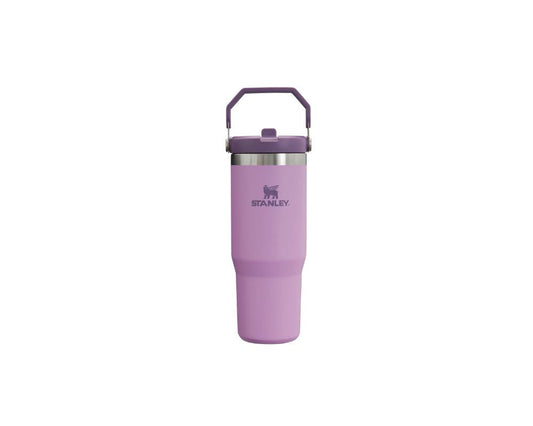 Stanley IceFlow  Straw Tumbler 30 oz