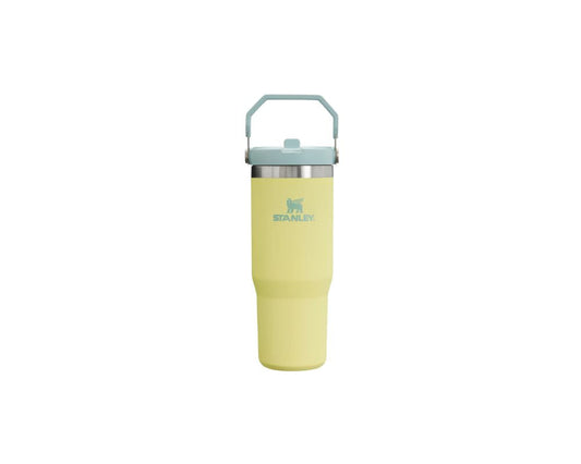 Stanley IceFlow  Straw Tumbler 30 oz